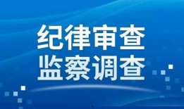 海口头条最新爆料,揭秘重大事件背后真相