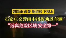 石家庄今日头条网友爆料,惊现神秘事件，真相令人震惊！