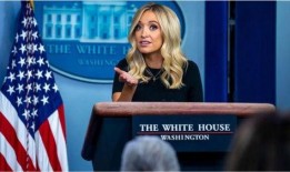 麦克纳尼最新爆料,揭秘事件背后惊人真相