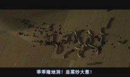 神秘接触在线观看,揭秘未知宇宙的神秘邂逅