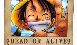 路飞悬赏爆料视频大全下载,揭秘海贼王世界悬赏榜风云