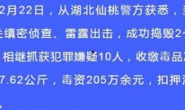 警方热点爆料新闻内容怎么写,最新案件追踪与揭秘