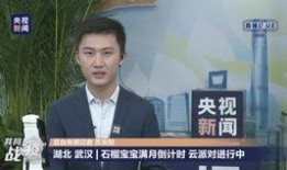 杨楠最新微博爆料新闻,揭秘娱乐圈最新劲爆新闻！