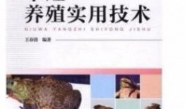 牛蛙饲养爆料视频大全,视频大全带你走进蛙类养殖世界