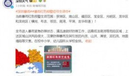 深圳网民魏先生爆料视频,深圳网民魏先生爆料视频引发热议