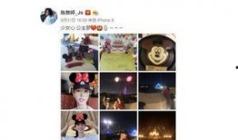 迪士尼黑粉爆料视频大全,揭秘幕后真相与争议瞬间