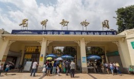 央视爆料昆明动物园视频