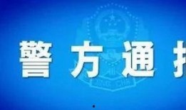 财务爆料娱乐公司违法吗