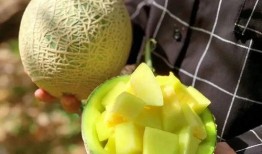 这几年吃的娱乐瓜,盘点近年热门娱乐瓜