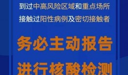 广州 新闻 爆料 流程,追踪真相的脉络与细节
